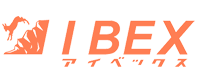 IBEX(アイベックス)疾病予防運動施設