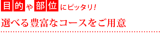 目的や部位にピッタリ 選べる豊富なコースをご用意